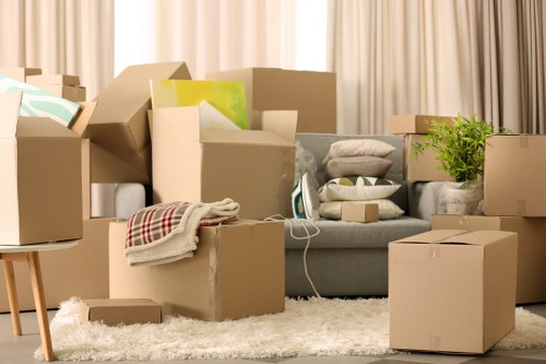Packing materials and organized boxes used for Pettswood relocations